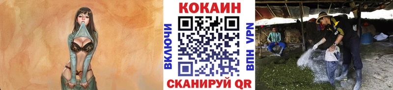 КОКАИН Эквадор  как найти   МЕГА сайт  Называевск 