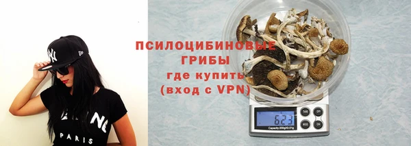трава Краснослободск