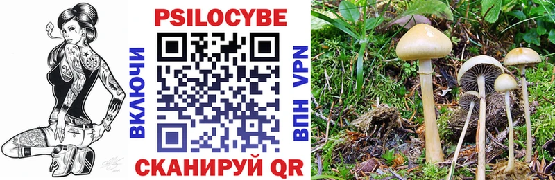 Псилоцибиновые грибы GOLDEN TEACHER  Называевск 